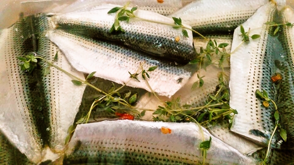 新鮮な魚料理